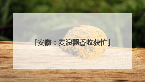 安徽：麦浪飘香收获忙